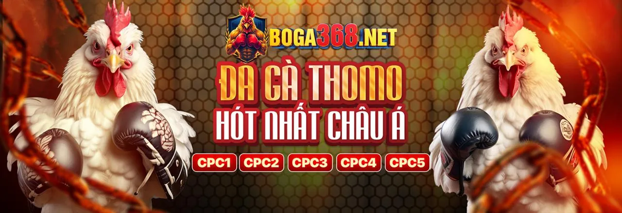 Nền tảng bảo mật tại 79kinh