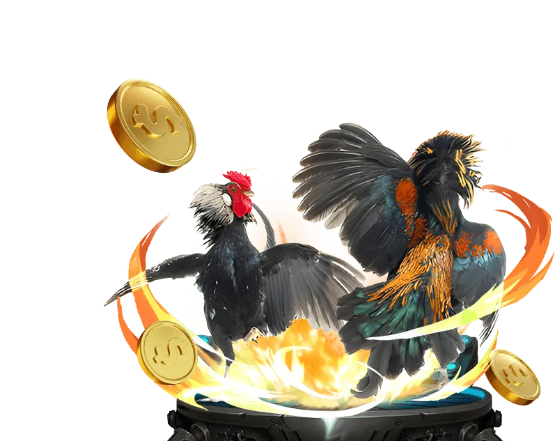 Gà chiến trên đấu trường onbet vip